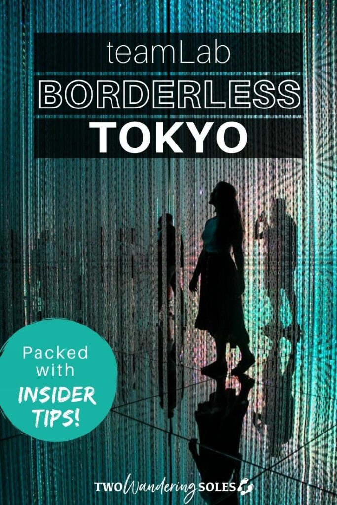 teamLab Borderless Tokyo (Pin E)