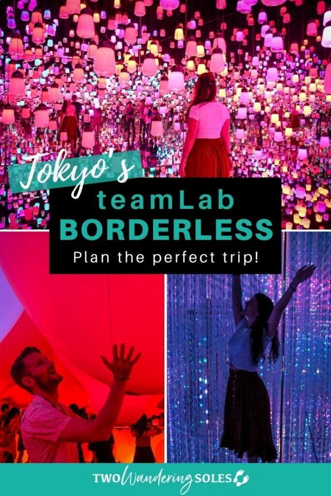 teamLab Borderless Tokyo (Pin E)