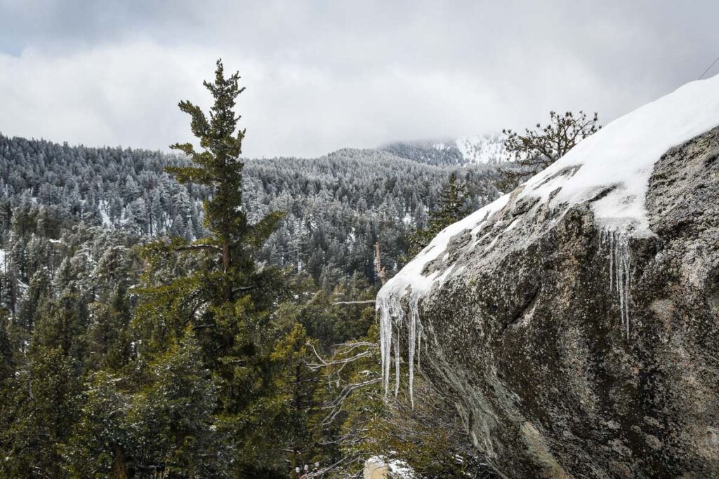 Palm Springs Aerial Tramway