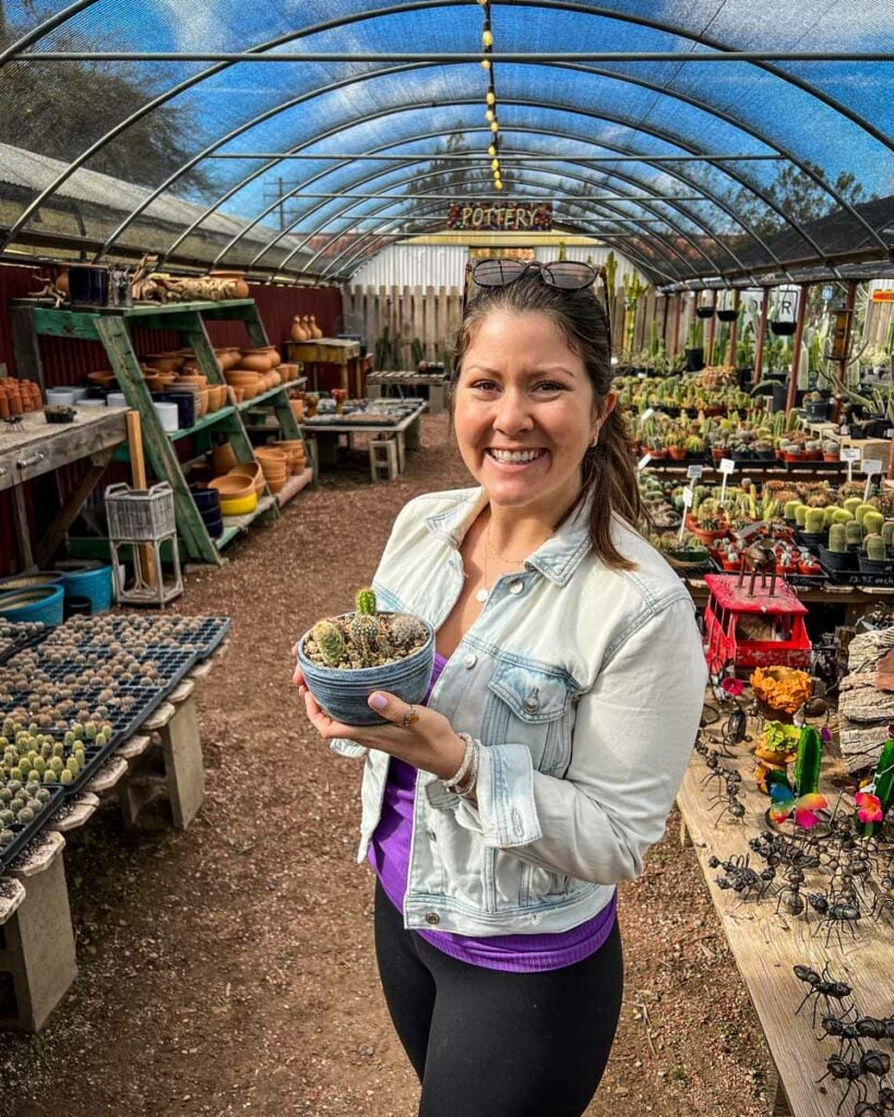 Cactus Mart Palm Springs