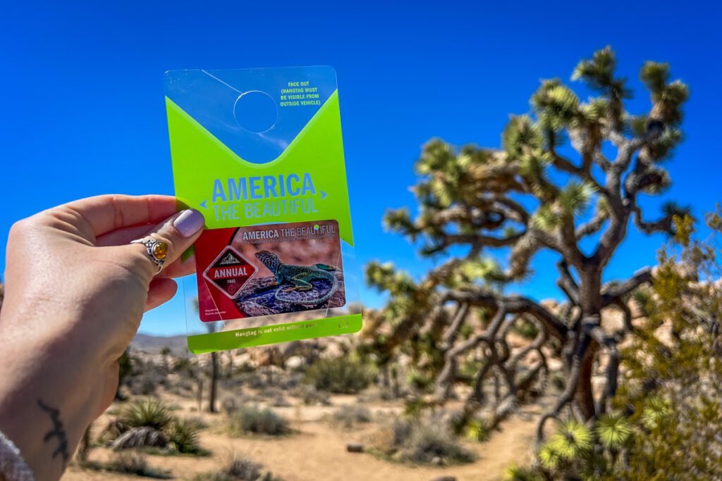 America the Beautiful Pass Joshua Tree National Park