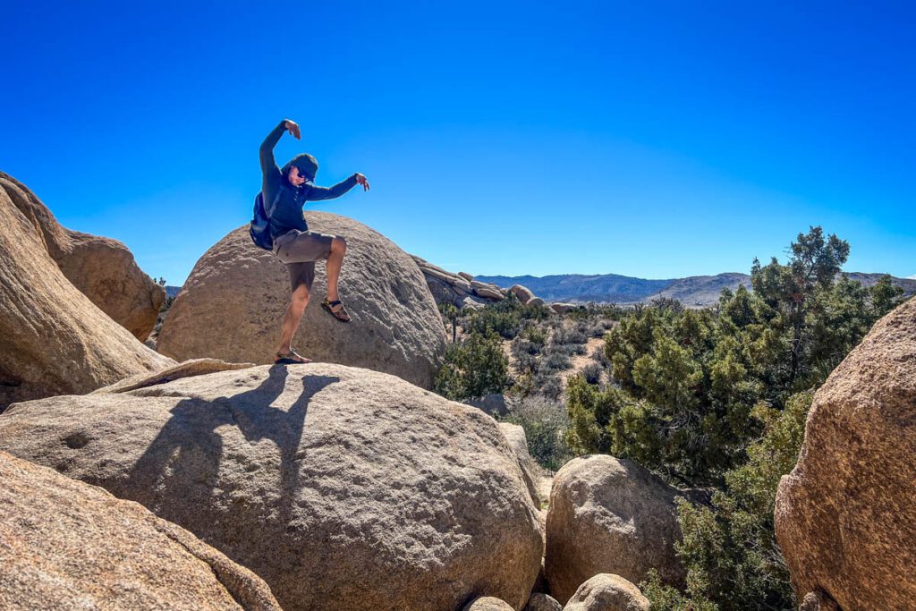 Joshua Tree National Park