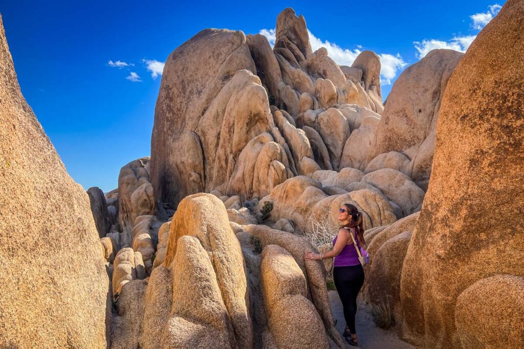 Secret spot Joshua Tree National Park