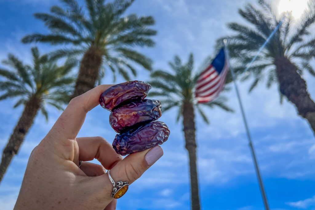 Shield's Date Farm Palm Springs