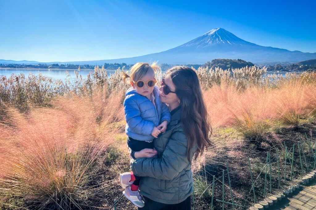 Oishi Park Mount Fuji Lake Kawaguchiko Japan