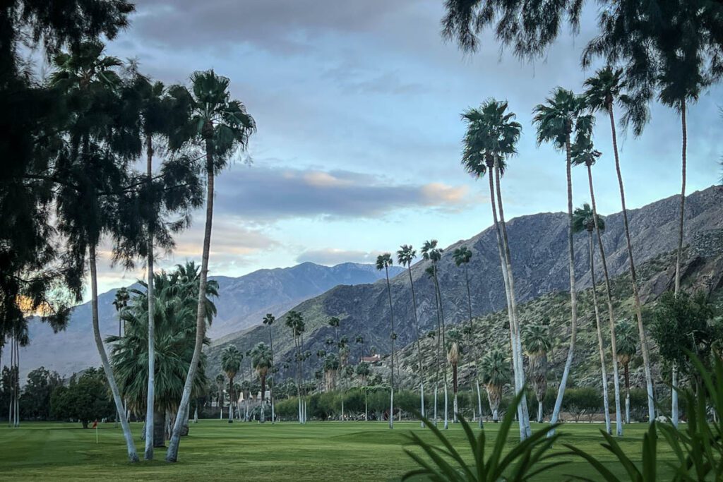 Palm Springs