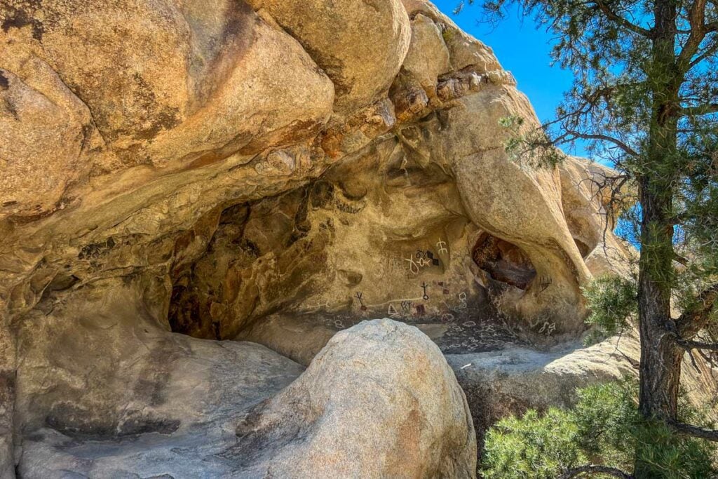 petroglyphs Barker Dam Joshua Tree National Park