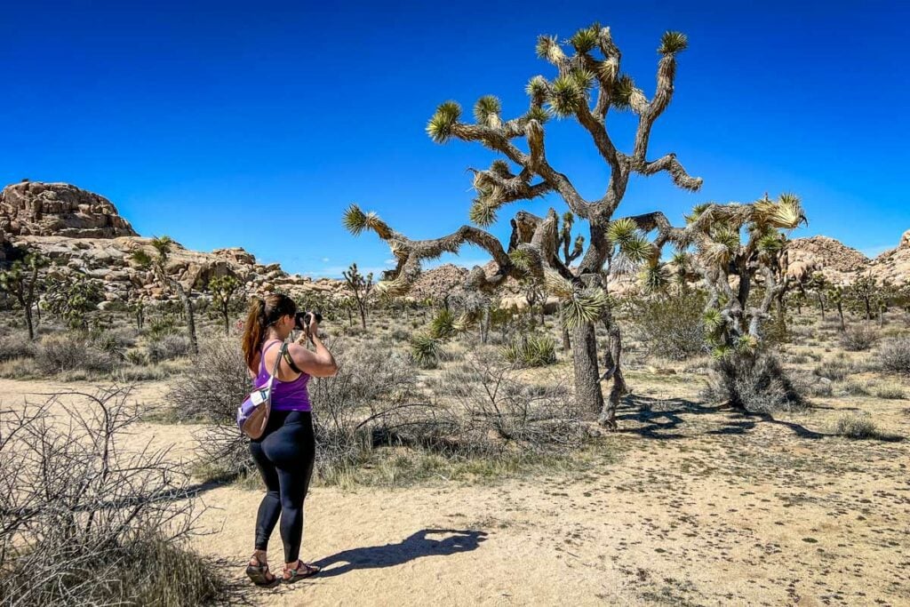 Joshua Tree National Park California