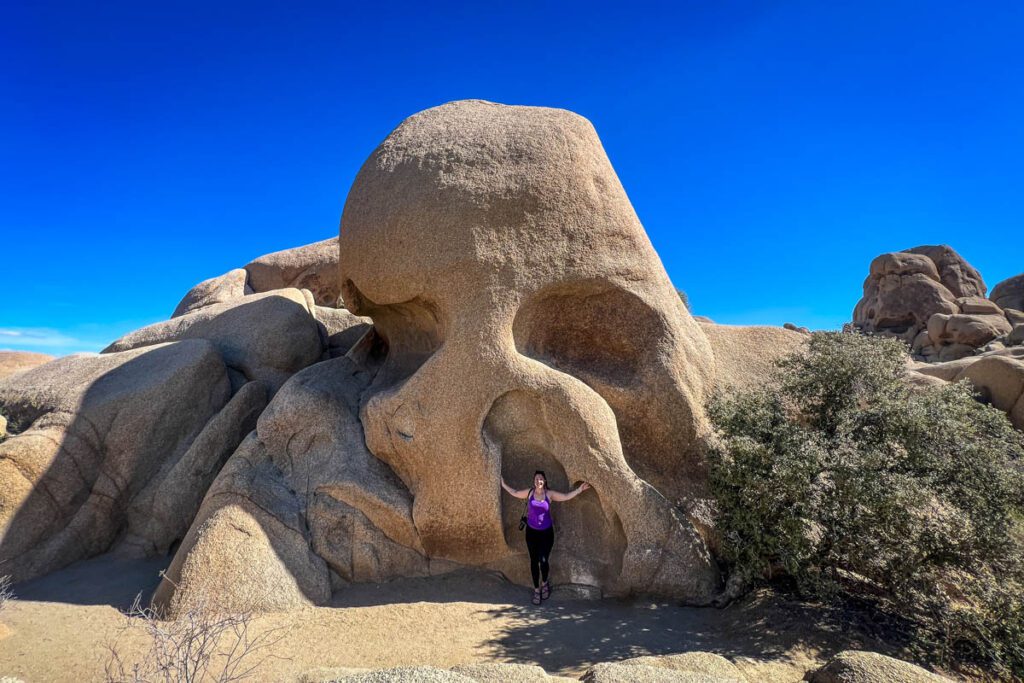 Skull Rock Joshua Tree National Park