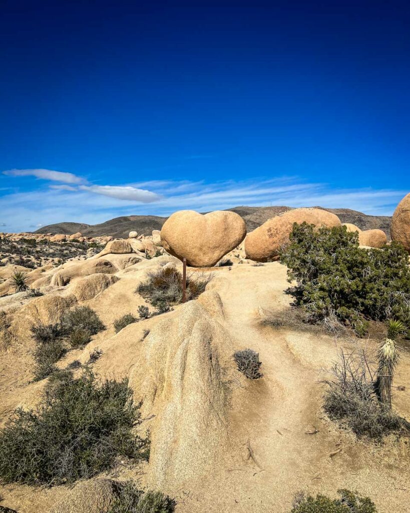 Heart Rock Joshua Tree National Park