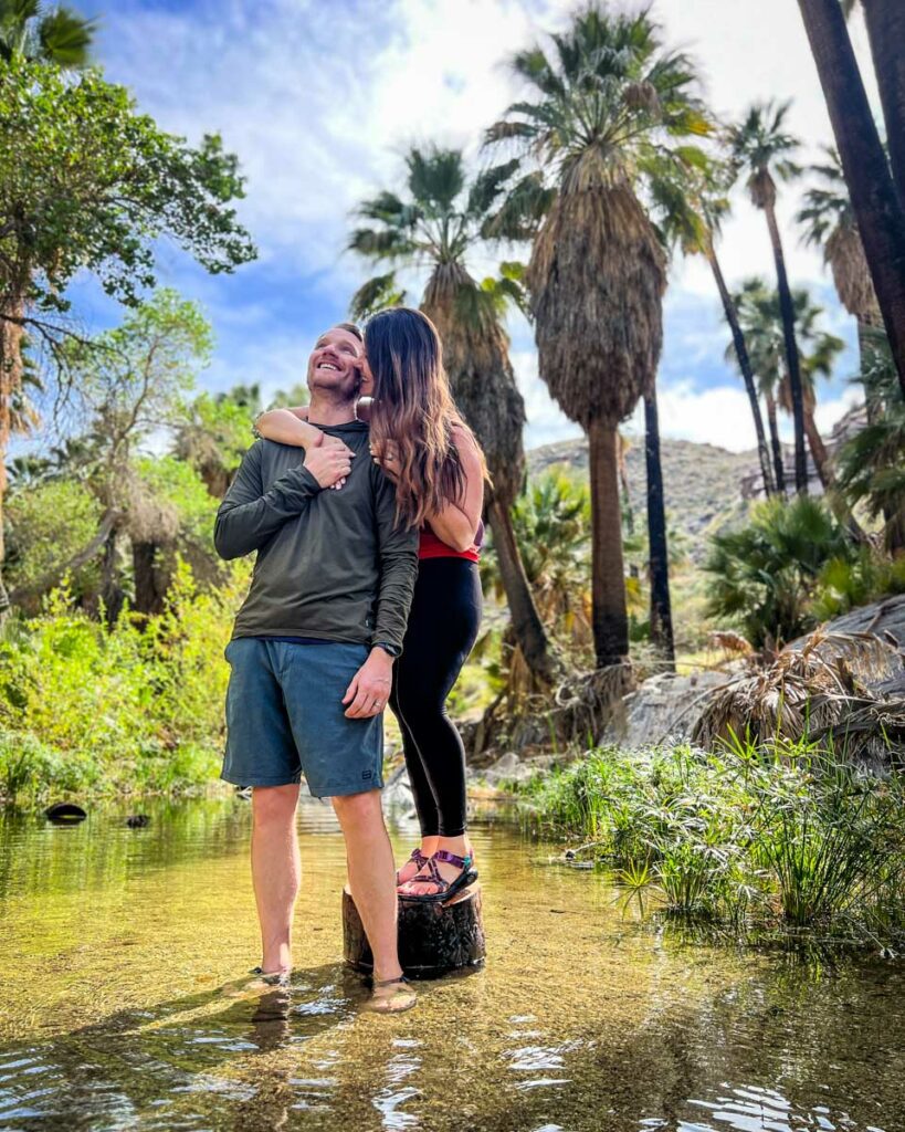 Indian Canyons Palm Canyon hike Palm Springs