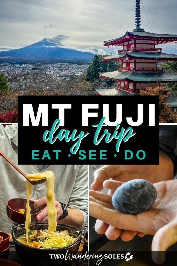 Mount Fuji Day Trip (Pin D)
