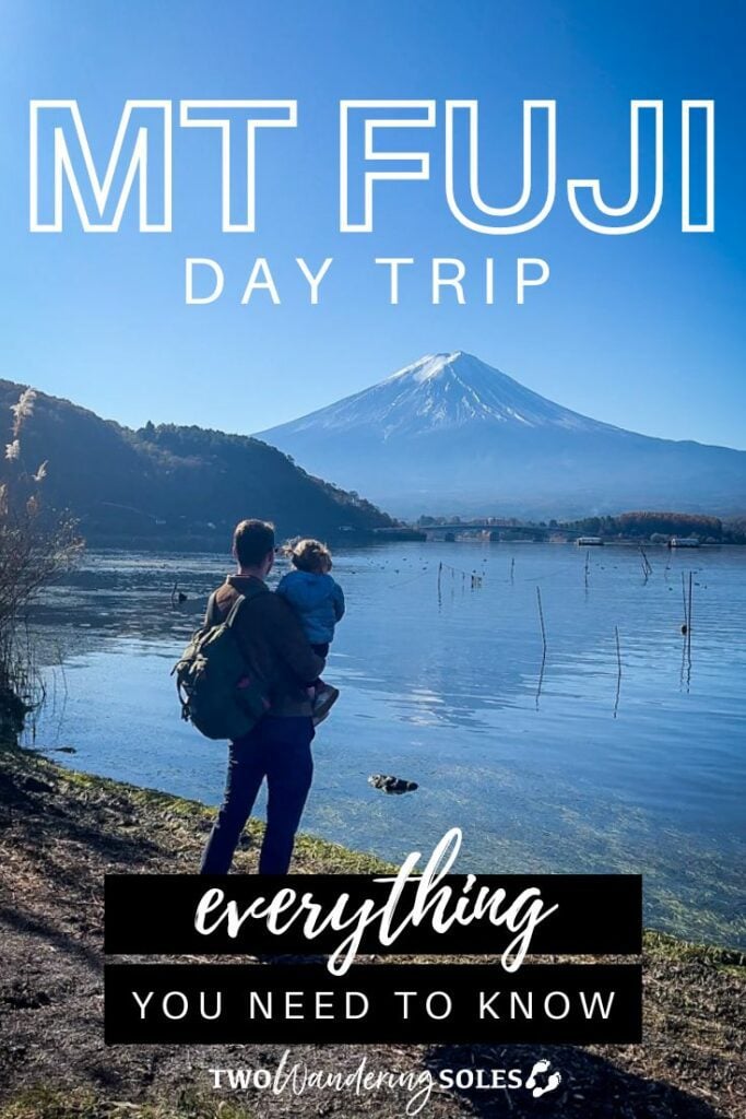 Mount Fuji Day Trip (Pin E)