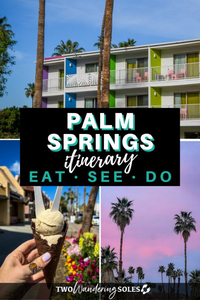 Palm Springs (Pin D)