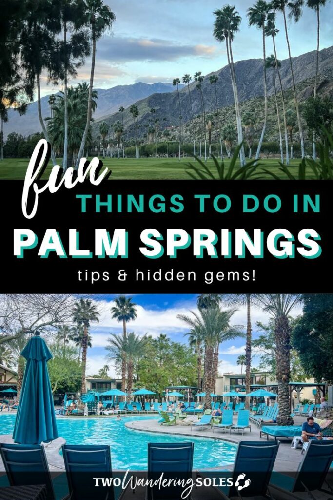 Palm Springs (Pin E)