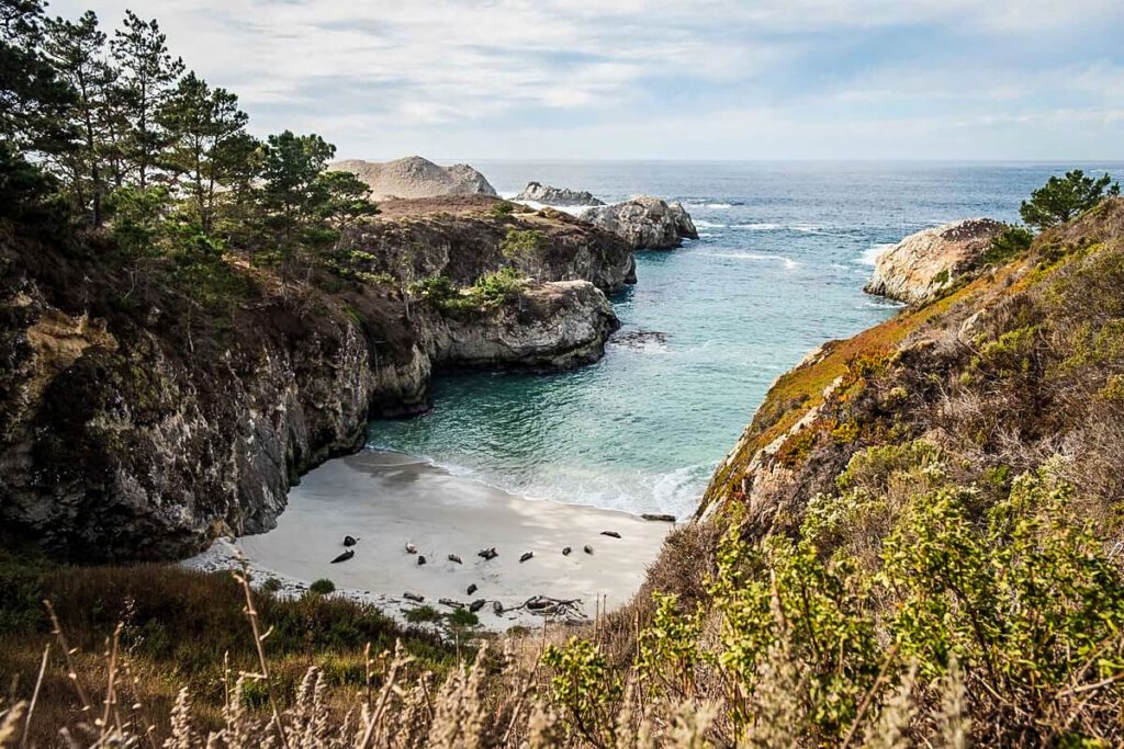 San Francisco to Big Sur road trip | Point Lobos - China Cove