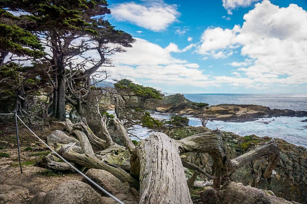 San Francisco to Big Sur road trip | Point Lobos - Cypress Grove