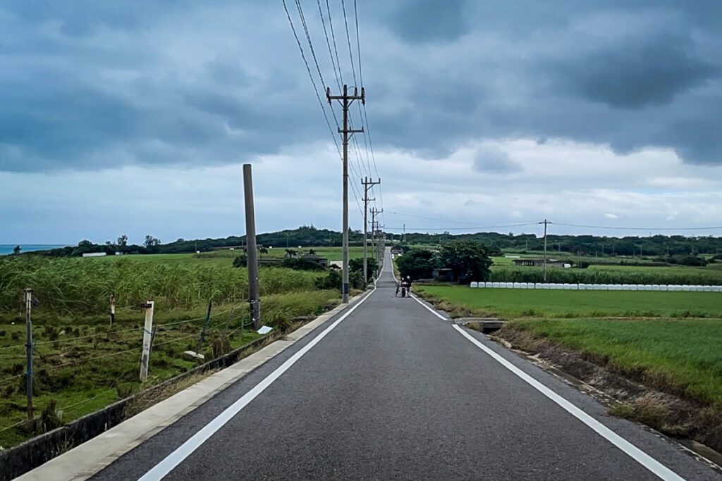 Sugarcane fields Okinawa, Japan (Nagisa Tsuchida)
