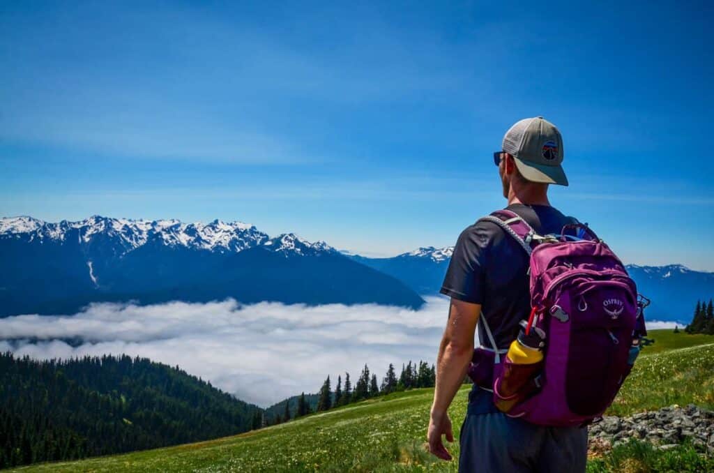 Hurricane-Ridge-Olympic National Park