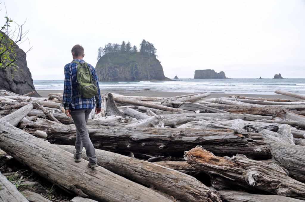La Push Beaches Olympic National Park