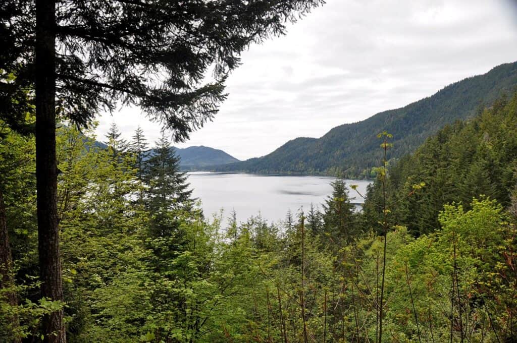 Lake Crescent Olympic National Park