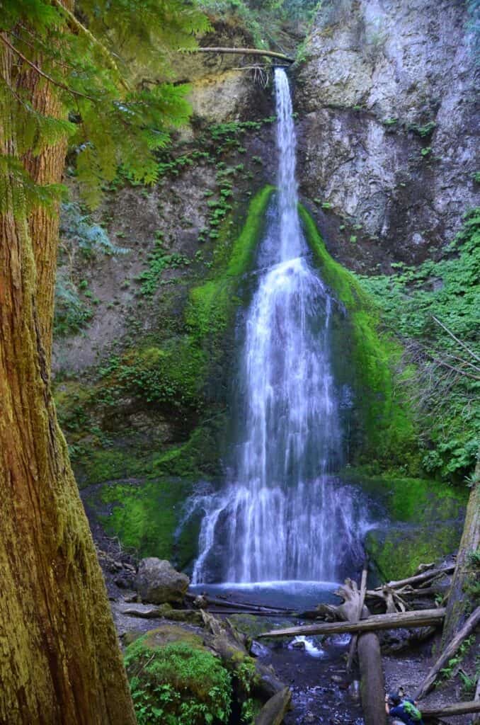 Marymere Falls Olympic National Park