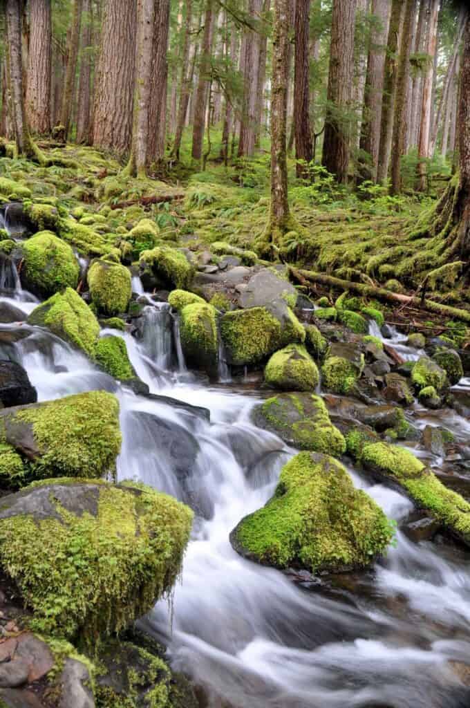 Sol Duc Falls Olympic National Park