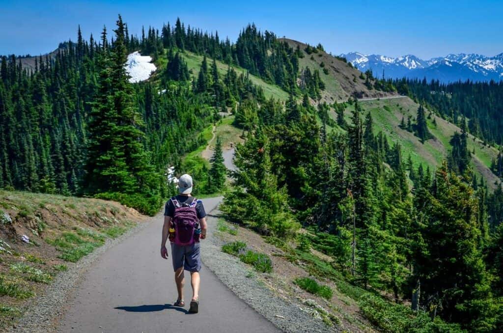 Hurricane Hill via Hurricane Ridge Trail Olympic National Park