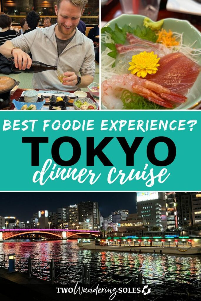 Tokyo dinner cruise | Two Wandering Soles