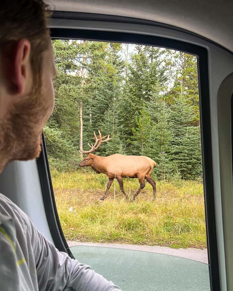 Vancouver campervan rentals