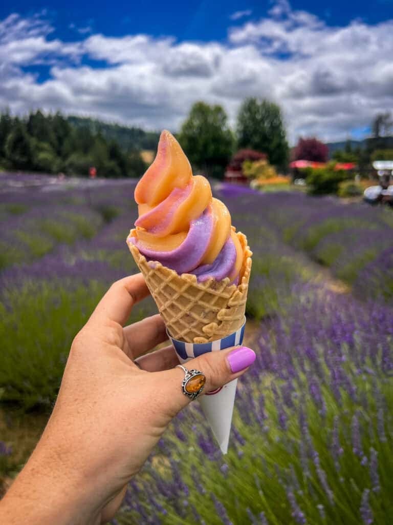 Hood River Lavender Farm ice cream