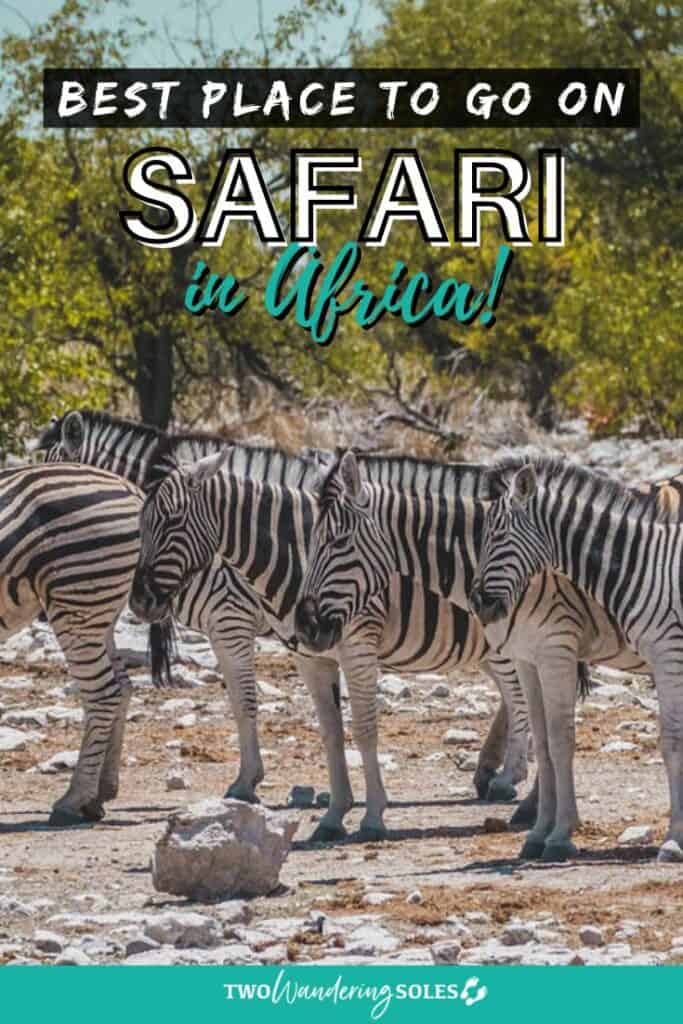 Best Place to Go on Safari | Two Wandering Soles