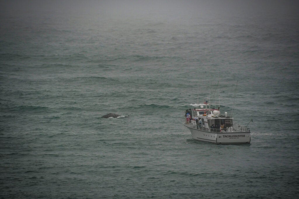 Depoe Bay Whale Watching Oregon Coast