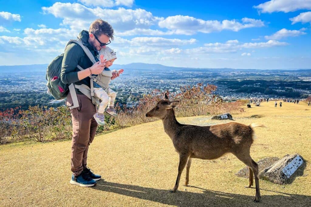 Nara deer Japan with kids