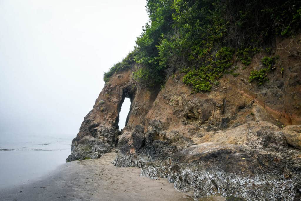 Proposal Rock Beach Oregon Coast