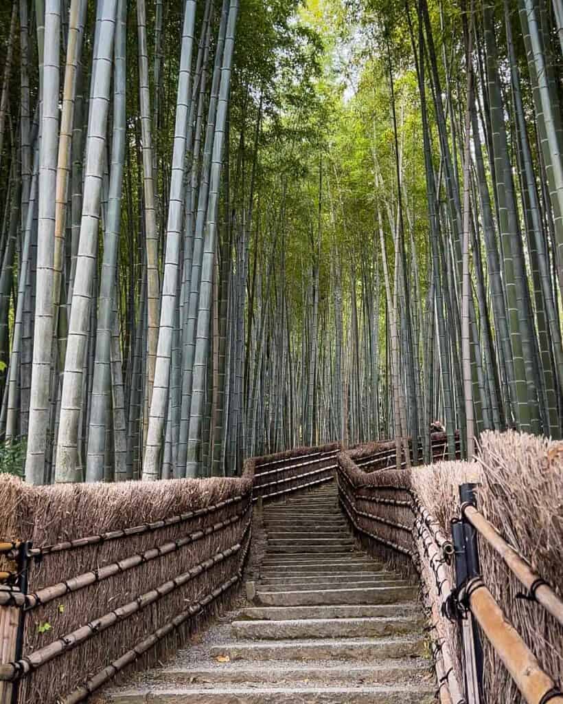 Adashino Nenbutsu-ji bamboo forest Arashiyama Kyoto Japan