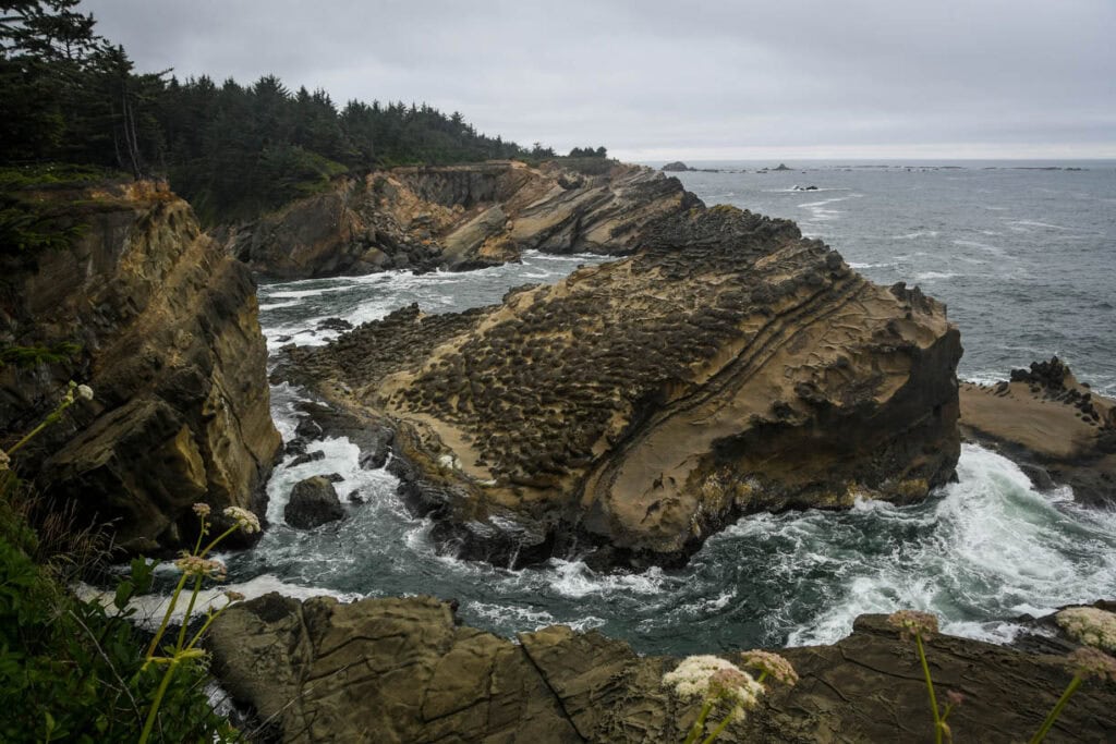 Simpson Reef Overlook Shore Acres State Park Oregon Coast