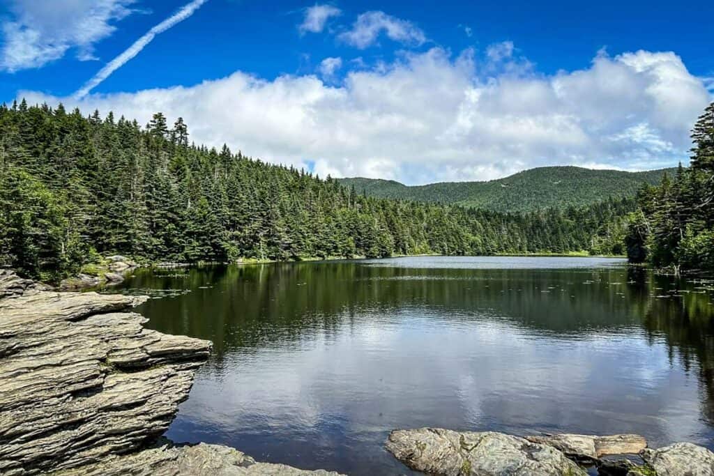 Sterling Pond Trail Stowe Vermont (AllTrails)