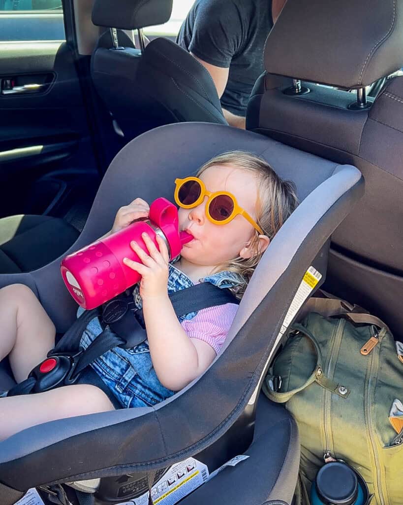 toddler car seat water bottle