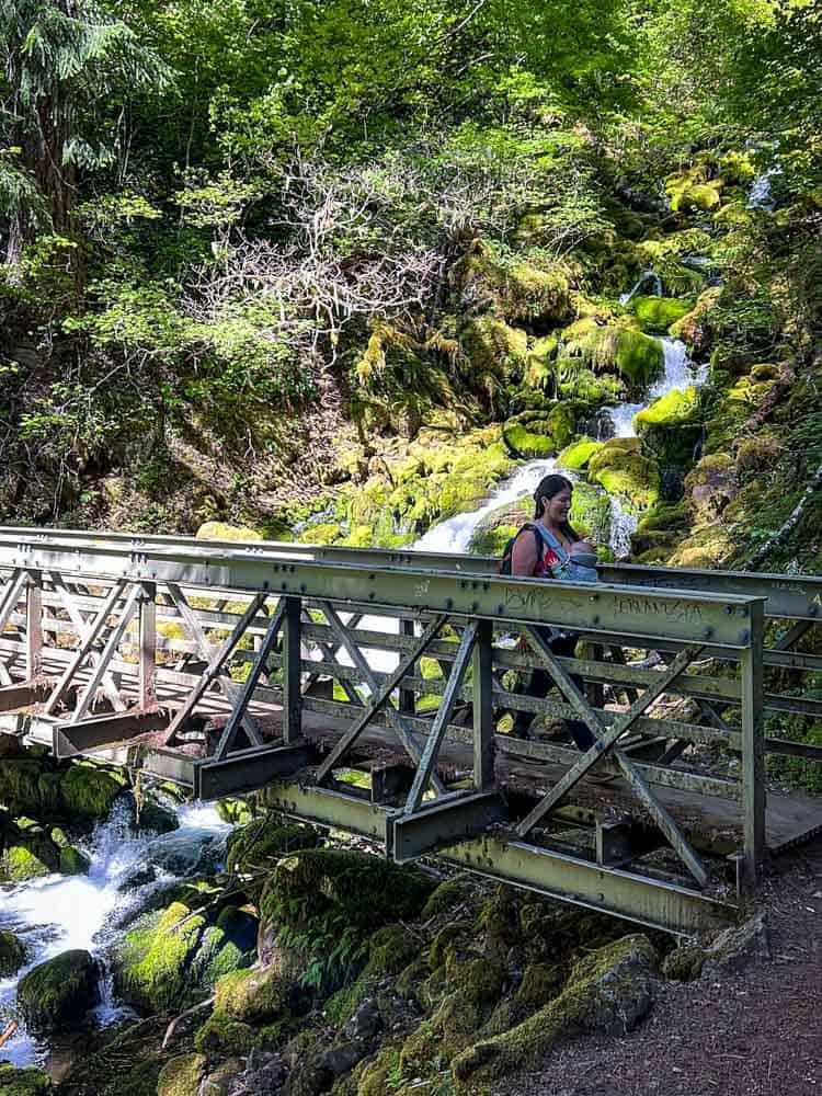 Crossing over a bridge on the Falls Creek Falls trail