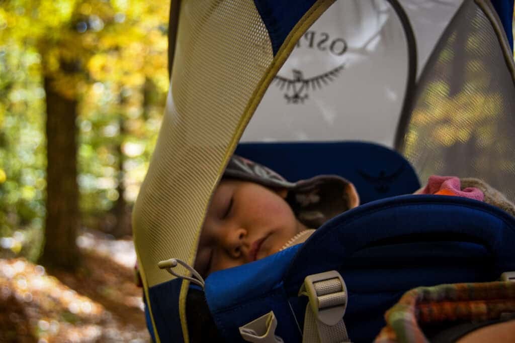 Hiking with a toddler carrier nap