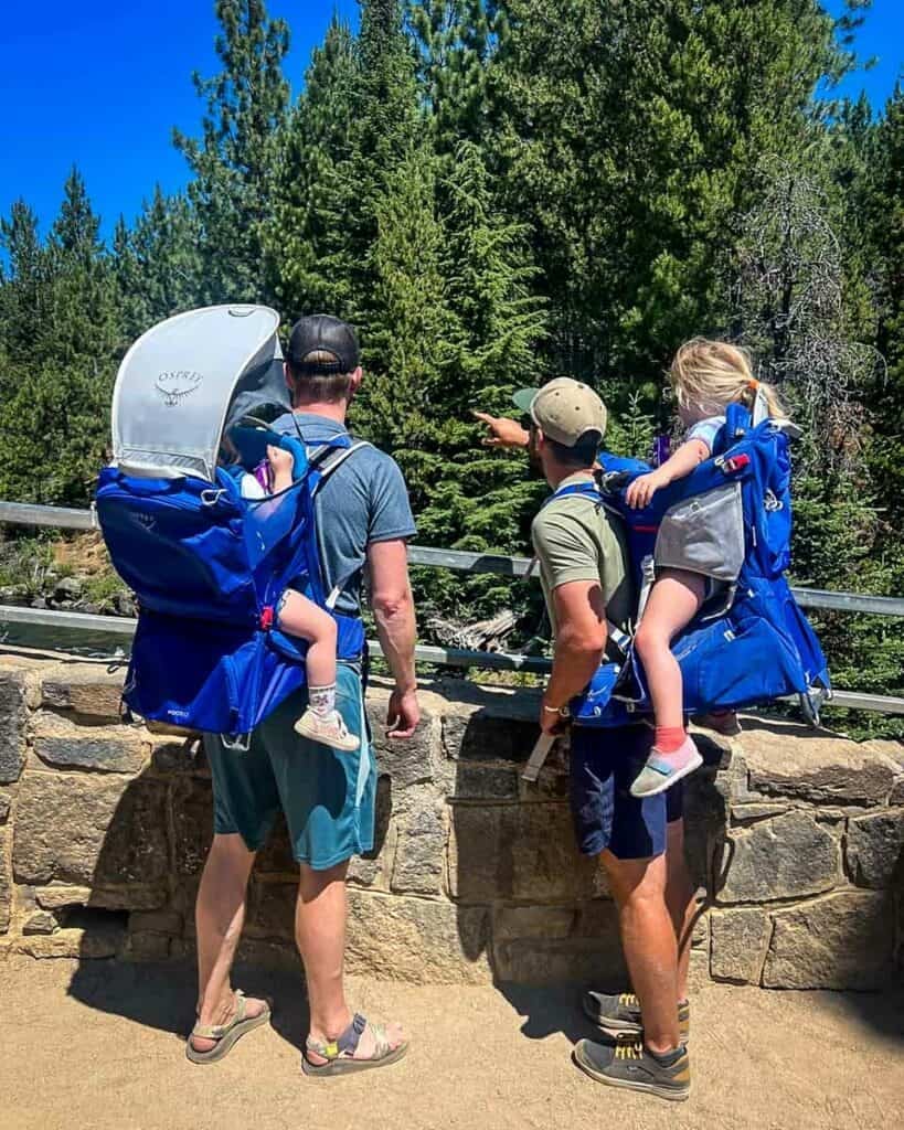 Osprey Poco Premium vs LT hiking carriers