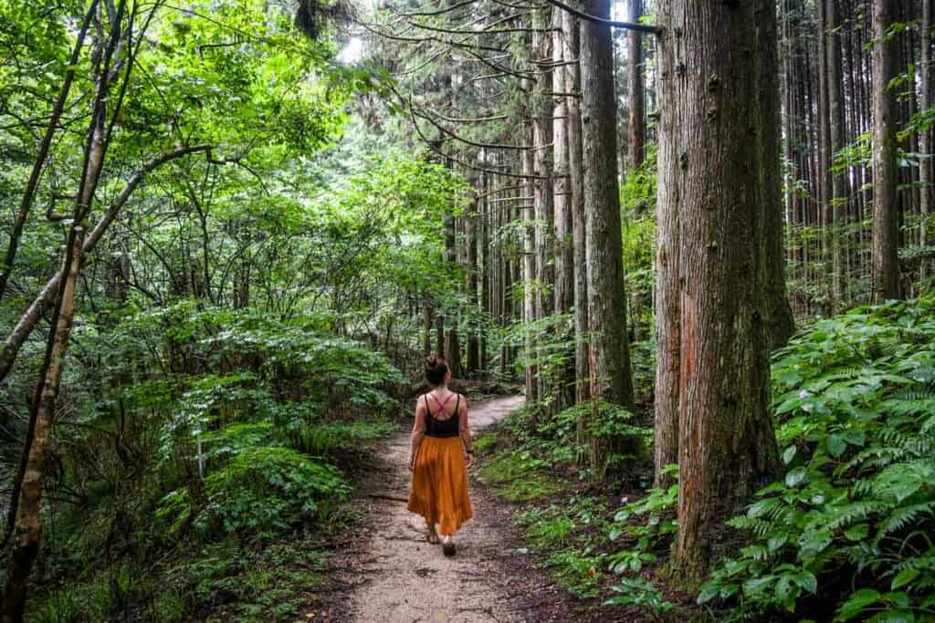 Nakasendo Trail Japan forest