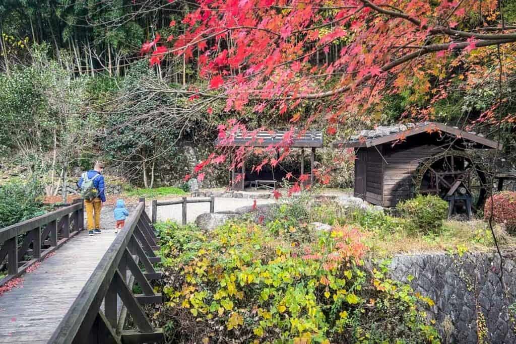 Nakasendo Trail Japan in autumn momiji