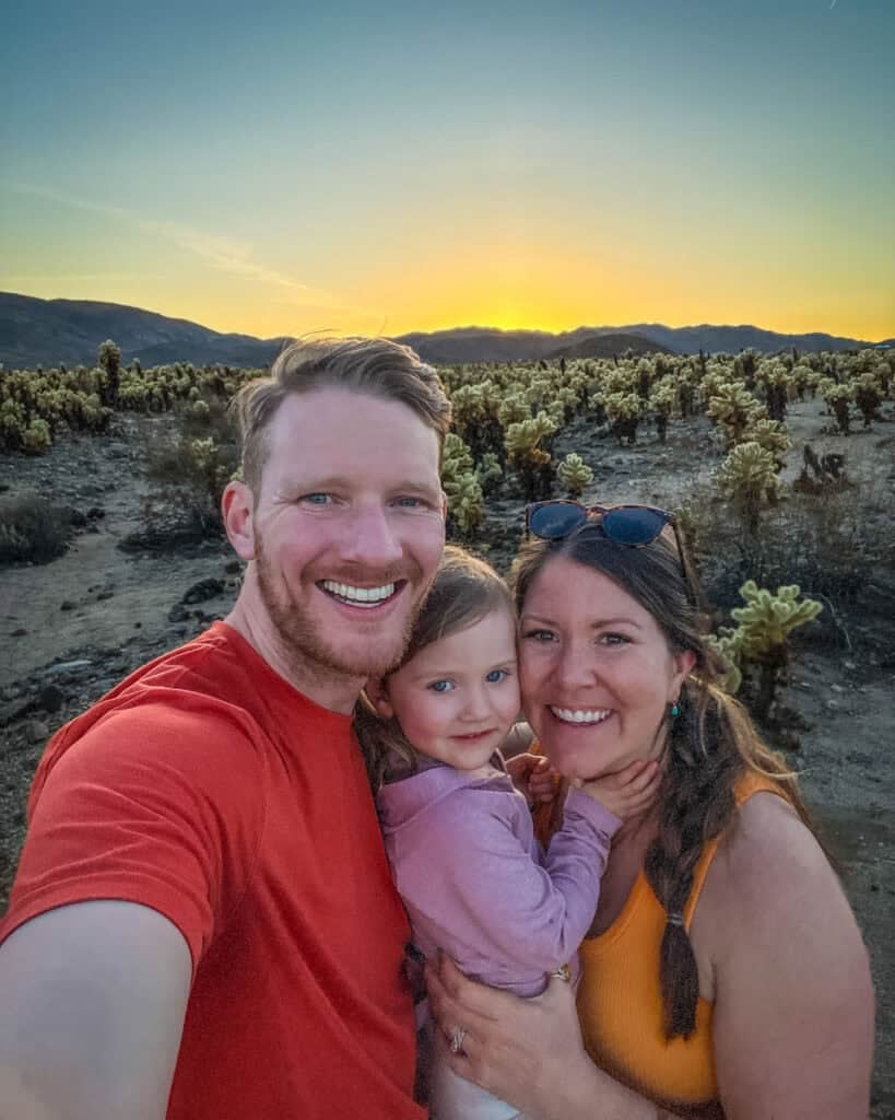 Cholla Cactus Garden sunset Joshua Tree National Park