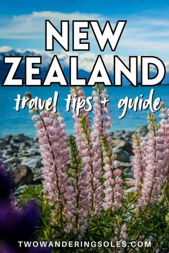 New Zealand travel tips | Two Wandering Soles