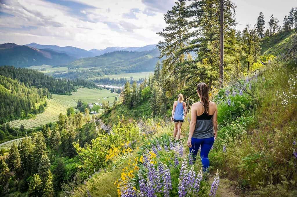 Sauer Mountain trail Leavenworth Washington wildflower hike
