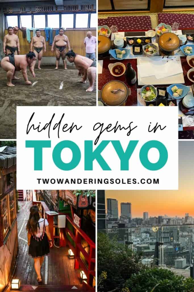 Hidden Gems in Tokyo | Two Wandering Soles