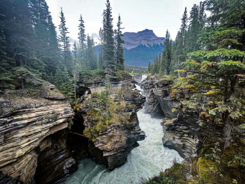 Maligne Canyon Jasper Canada