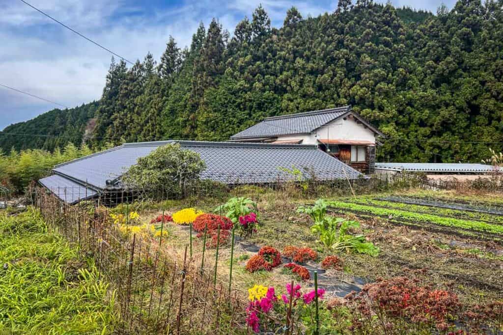 Nakasendo Trail Japan farm flowers